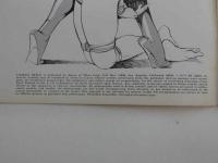 LATENT　IMAGE　Volume３　Number５　英文