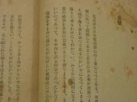 沖の稲妻