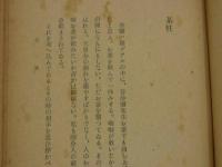 沖の稲妻