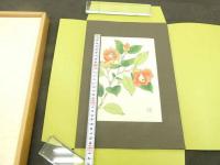 ふるさとの花　春夏秋冬　着物作品図録　手摺木版画　椿　白牡丹