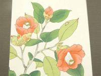ふるさとの花　春夏秋冬　着物作品図録　手摺木版画　椿　白牡丹