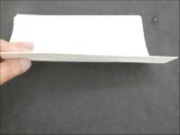 蘭領ニューギニア移民計画趣旨書