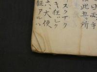 阿蘭陀新伝　正流外科法金集第六　付 別録方函　岩永隆恭撰　写本