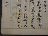相伝　阿蘭陀秘書　55丁　六物新志秡書　5丁　計60丁　写本　上下巻2冊