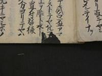 坂本家伝　外科秘書　阿蘭陀外科書巻下　写本