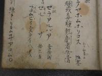 阿蘭陀膏薬煉書　紅毛膏薬集　写本