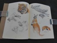 牧野四子吉生物画集