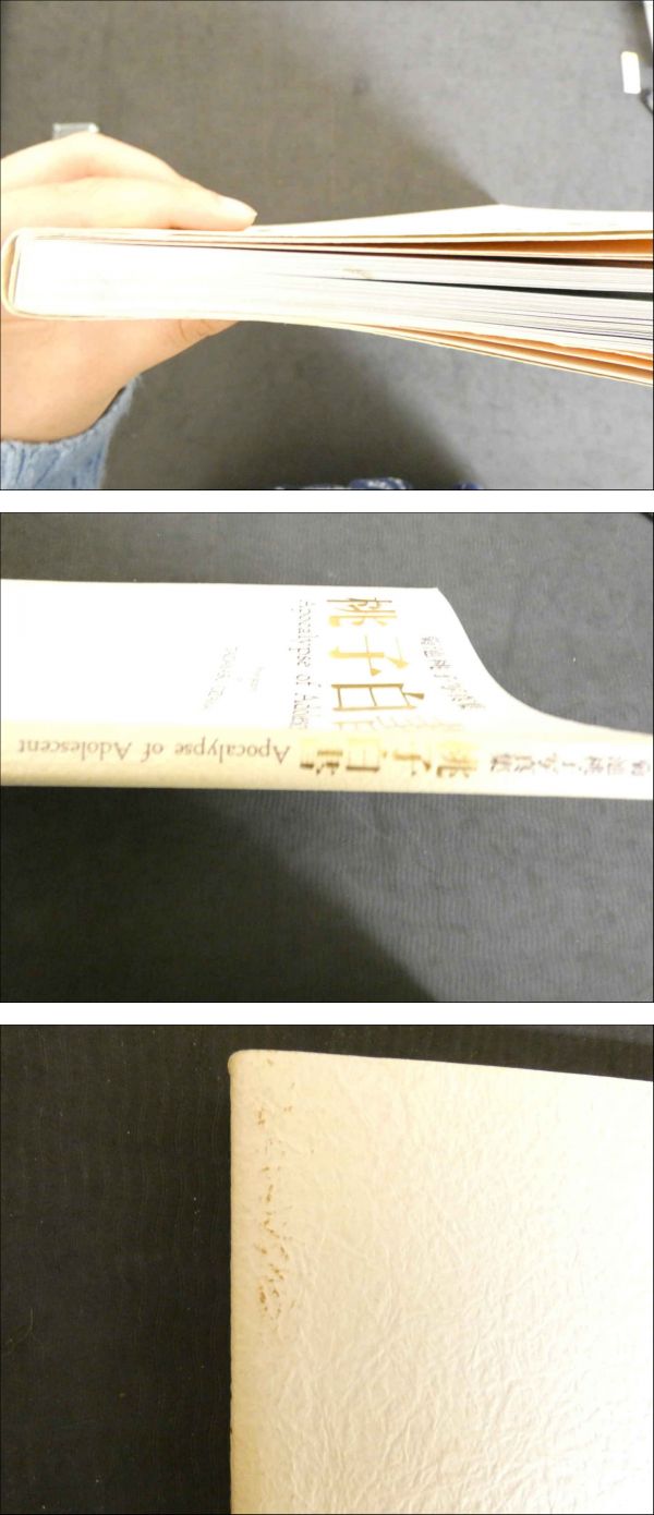 菊池桃子写真集 「桃子白書」 Apocalypse of Adolescent GAKKEN
