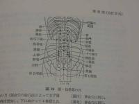 医家のための針灸治療必携　第4版