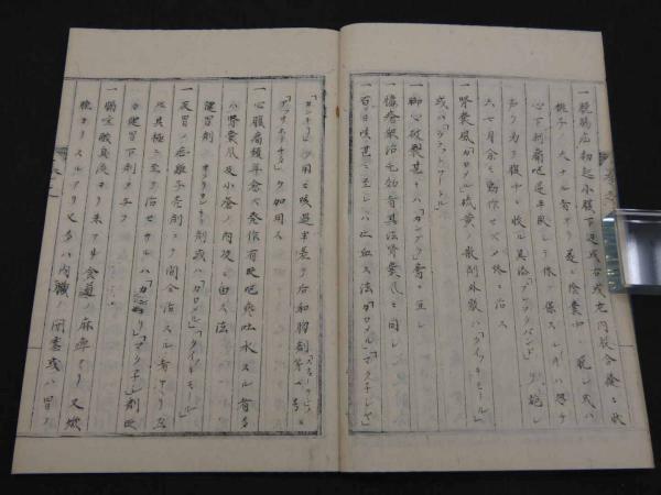 難治症候 写本 13丁(湊長安著) / あんず古書店 / 古本、中古本、古書籍の通販は「日本の古本屋」