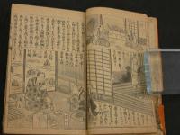 絵本実録　大岡名誉仁政録　