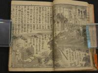 絵本実録　大岡名誉仁政録　