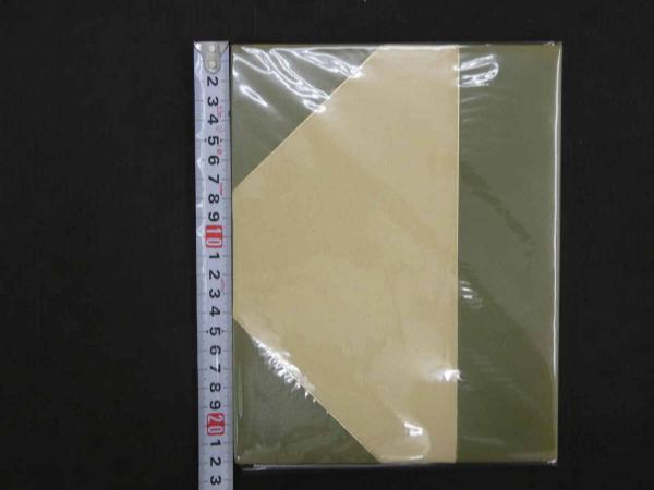 医道の望診入門 ー人相の極意と医法－(西沢道允/著) / あんず古