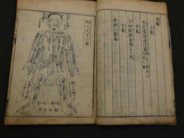 仮名読十四経発揮 龍虎 全2冊(滑寿伯仁/著 ) / あんず古書店