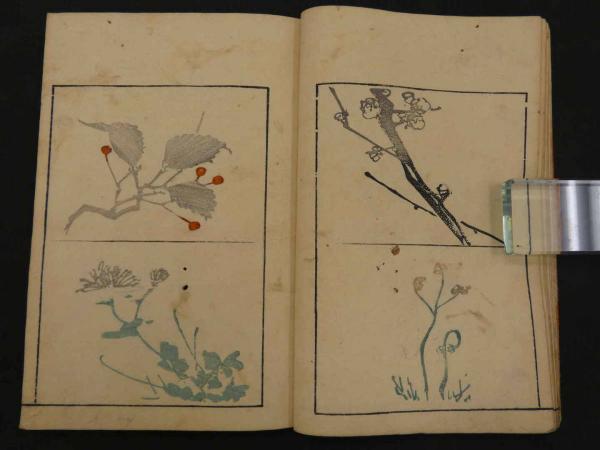 蕙斎麁画 二編(鍬形蕙斎（北尾政美）) / あんず古書店 / 古本