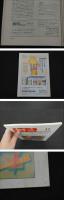 鍼灸OSAKA　通巻第41号　Vol.12.1／1996.Spr.　特集：臨床シリーズ アレルギー性鼻炎(花粉症)　