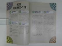 皮膚刺激療法の参考治療点　改訂-1