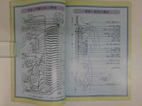 皮膚刺激療法の参考治療点　改訂-1