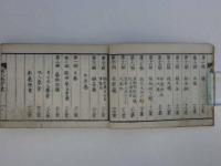 独乙新方彙　桜井郁次郎/訳　