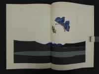 湖山　限定１５０部　彩色木版　見開き１５図