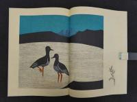 湖山　限定１５０部　彩色木版　見開き１５図