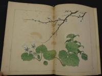 四季の花　春之部　壹・貮　彩色木版画　全50図　2帖