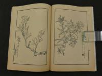 名家花卉画譜　Facsimiles of Flower-Paintings by Chinese Old Masters