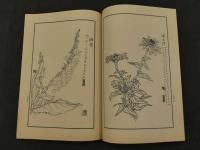 名家花卉画譜　Facsimiles of Flower-Paintings by Chinese Old Masters