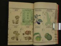 有用植物図説　図画巻之一　帝国博物館原版　大日本農会蔵版