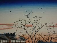 複製木版画　東都名所　広重画　新吉原朝桜之図　手摺木版　約22.5×34cm