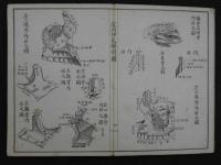 虞列伊氏解剖訓蒙図　啓蒙義舎蔵版　明治5年刻成　銅版全99図　2帖