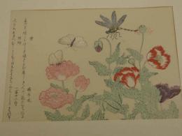 複製木版画 喜多川歌麿筆 虫えらみ 第四回第四図 蝶と蜻蛉 手摺木版
