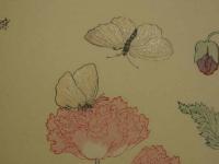 喜多川歌麿　逸品「虫えらみ」　全15図　古法純手摺木版画　浮世絵版画刊行会 喜多川歌麿 逸品「虫えらみ」 全15図 古法純手摺木版画 浮世絵