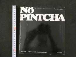 NO PINTCHA　写真報告＜ポルトガル領ギニア解放闘争＞