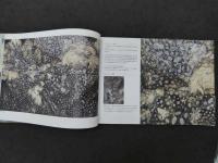 冬の夏 L'Estate in Inverno　119P