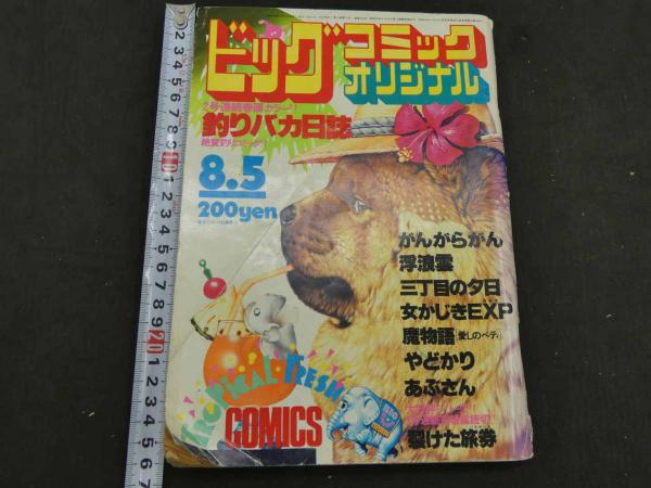 昭和鍼灸の歳月 経絡治療への道 319P (上地栄) / あんず古