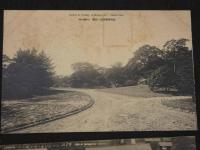 絵葉書　大阪城公園　14枚