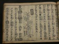 本草和解　7巻　全4冊