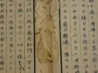 瘍科秘録　正編　10巻　12冊