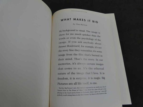 MATTHEW ROLSTON BIG PICTURES BULFINCH | ¥550 - 日本の古本屋 / 日本