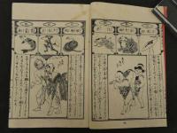 滑稽島遊　夢想兵衛胡蝶物語　曲亭馬琴作　芳年画　　前編後編　全2冊