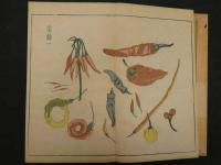 福善斎画譜　丹羽謝庵画　文化11年序　彩色木版刷　5巻5帖