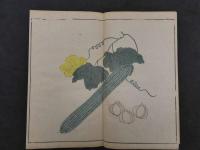 福善斎画譜　丹羽謝庵画　文化11年序　彩色木版刷　5巻5帖