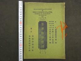 普通植物図譜　東京博物学研究会編纂　　第四巻　第七輯　初版　石版色刷20頁　