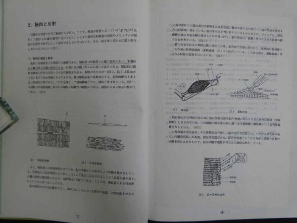 筋肉反射応用治療学 　伊東聖鎬著 Yahoo!オークション - 筋肉反射応用治療学 /学会学術出版/伊東聖鎬