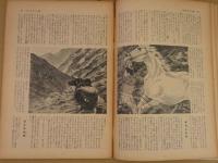 まぼろし城 名作リバイバル全集10 天嶮まぼろし城に挑む江戸の隠密と山の少年 高垣眸傑作集②
