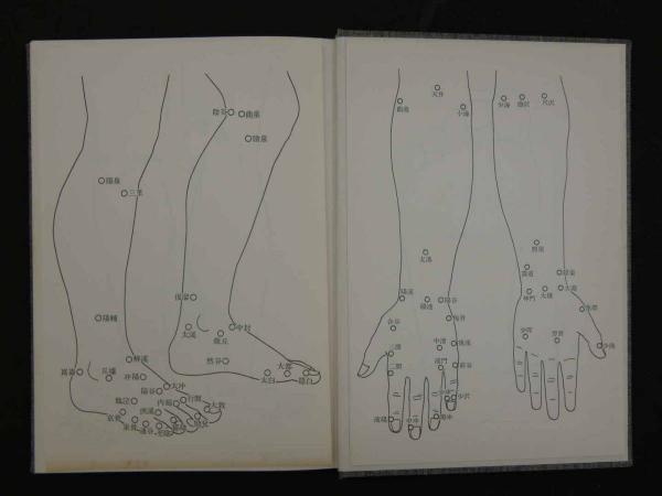 紫薇五術針灸篇 紫薇五術集綿・漢方針灸法(張耀文・佐藤六龍