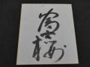 大相撲　富士桜　サイン　色紙　1枚