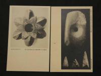 関東廰博物館陳列品絵葉書　第五輯　6枚入　戦前　古写真　絵ハガキ