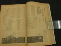文化人の性風俗誌 あまとりあ　第2巻第13号　エゴン・シーレ画集 蹲まる女 12月号